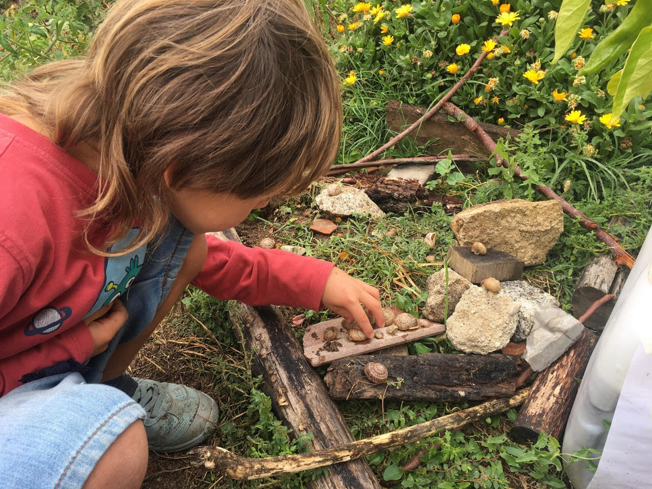 Alavida.org Niño contando unos caracoles.