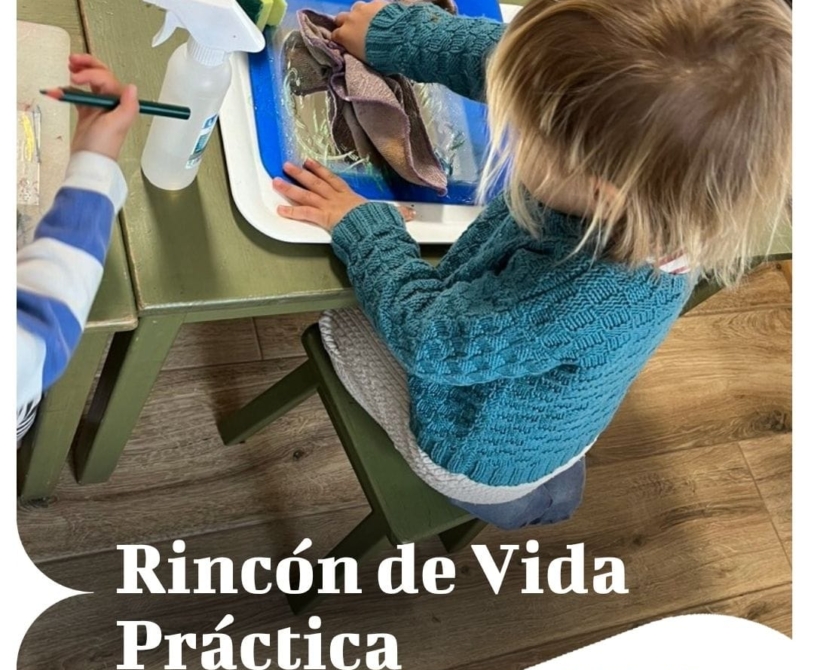 Rincón de Vida Práctica