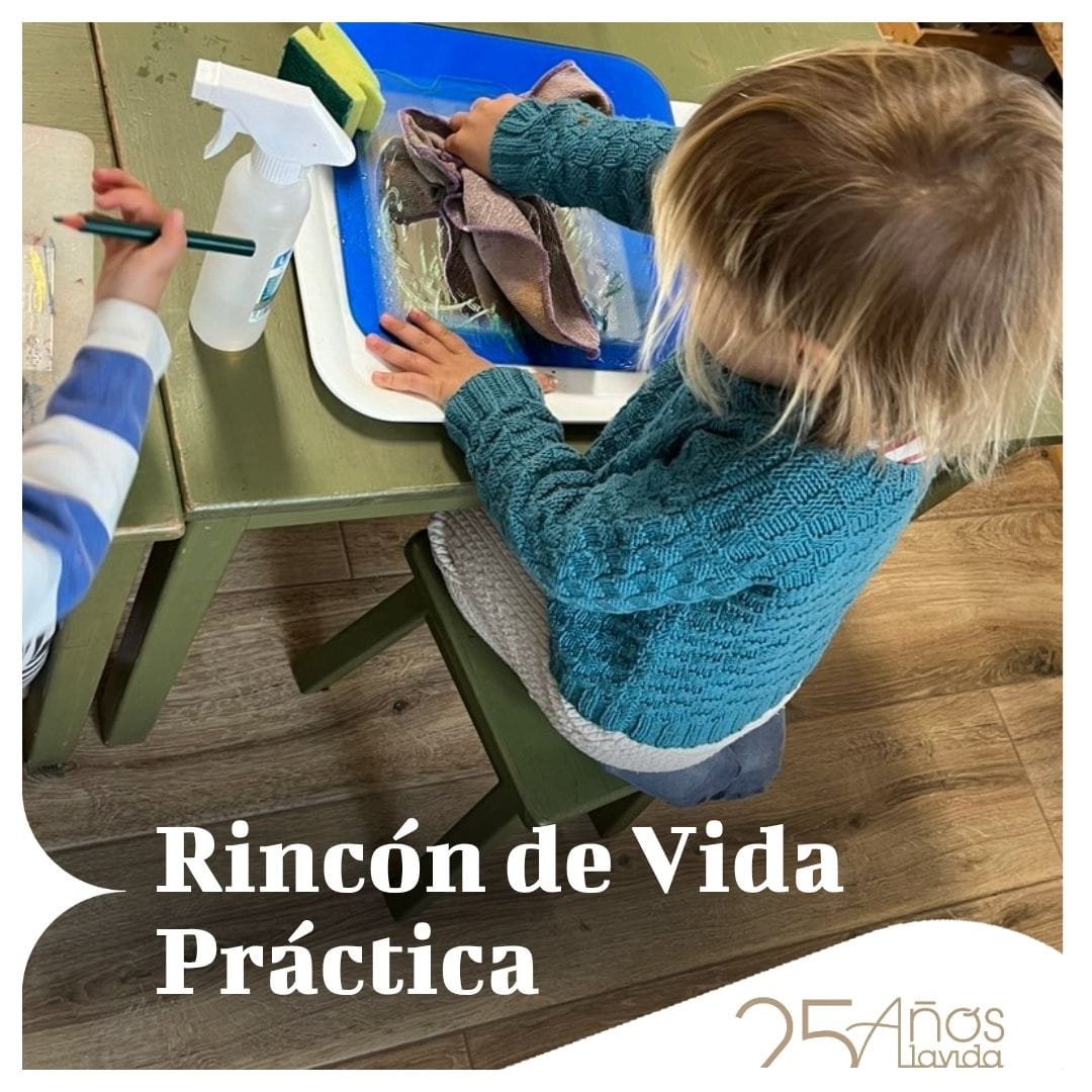 Rincón de Vida Práctica